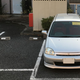 Image for article titled Project JDM Honda Logo: Here's All The Shit I Did This Week